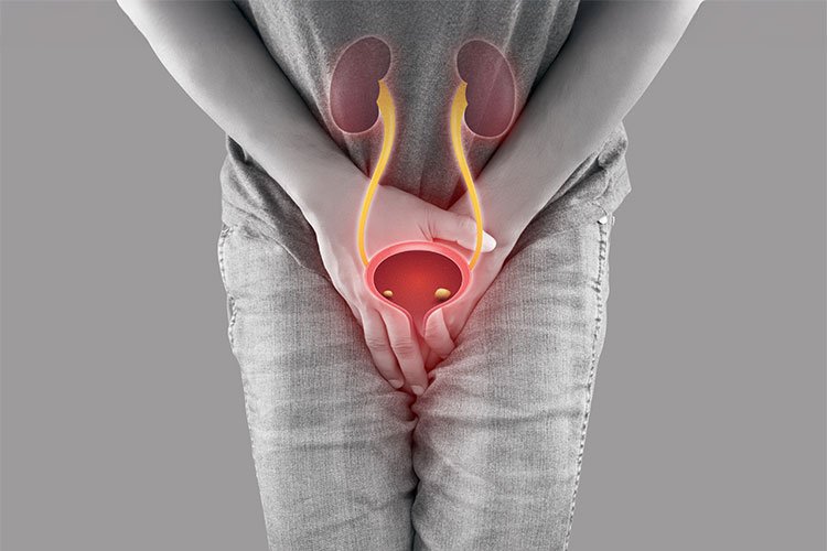 Person clutching their lower abdomen with an overlaid illustration of the kidneys, ureters and bladder glowing red, representing painful urinary tract infection or bladder problem needing specialised urologist treatment in Indore by Dr. Pritesh Shrimali, best urologist in Indore.
