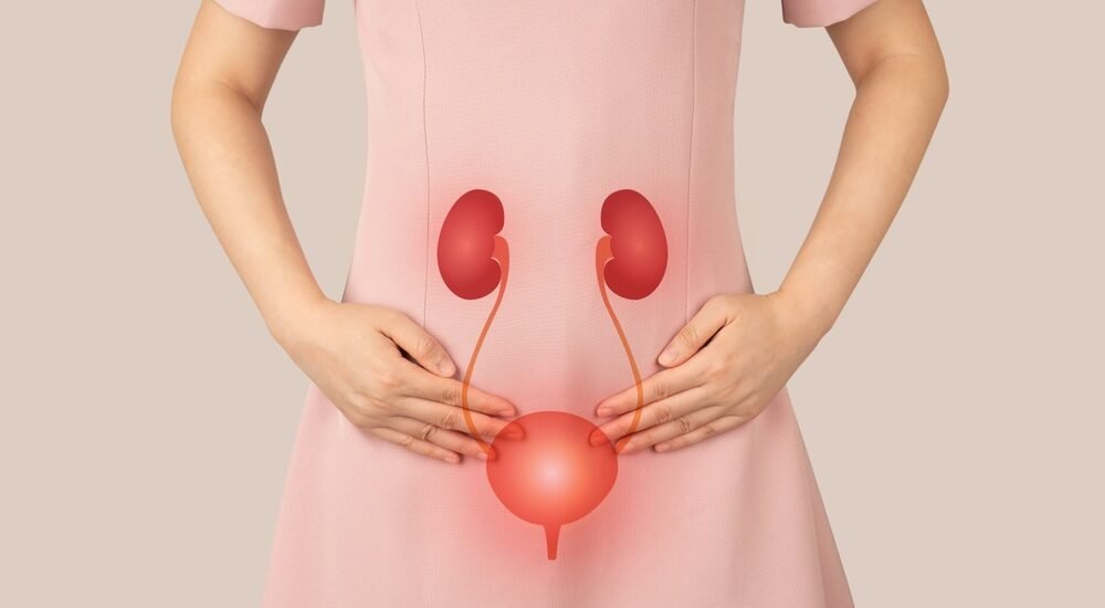 Woman in a pink dress holding her lower abdomen with a glowing illustration of kidneys, ureters and bladder overlaid, representing female urinary tract infection or bladder problem requiring specialised urologist treatment in Indore by Dr. Pritesh Shrimali, best urologist in Indore.