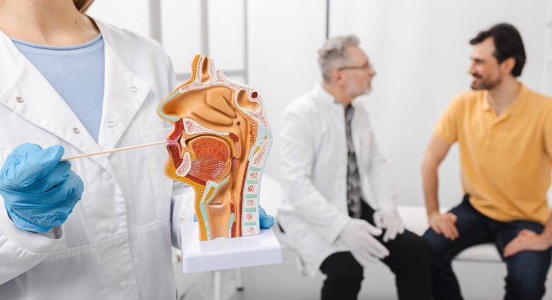 Doctor holding an anatomical model of the male reproductive and urinary tract while counselling a male patient in clinic, representing detailed urology consultation and treatment in Indore by Dr. Pritesh Shrimali, best urologist in Indore.